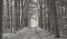 tubadzin all in white 1 - 42 darabos dekorkép  359,8x209,8